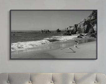 Malibu Beach Photography - Black and White Seagulls Coastal Art