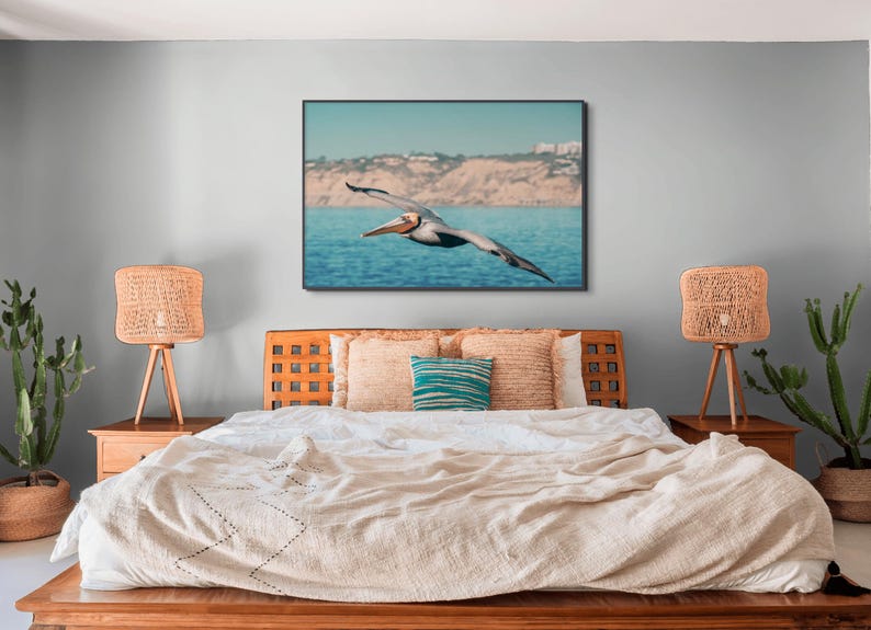 Väggkonst med pelikaner - Fotografi av kustfåglar | Konsttryck med havsdjur bild 5