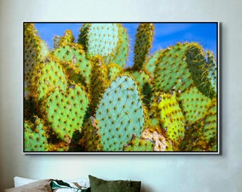 Prickly Pear Cactus Wall Art - Vibrant Desert Botanical Photography | Southwest Nature Fine Art Print