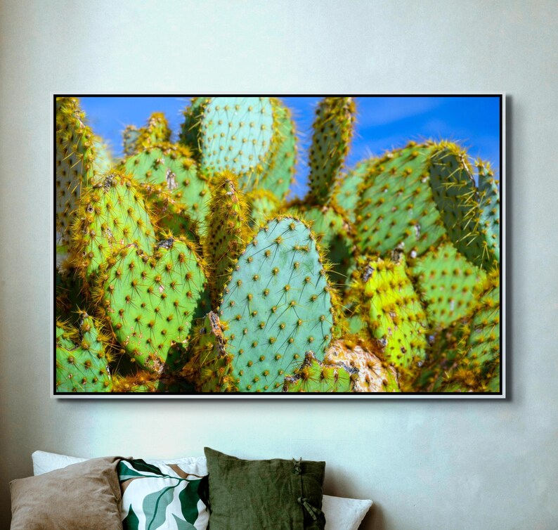 Prickly Pear Cactus Wall Art - Vibrant Desert Botanical Photography ...