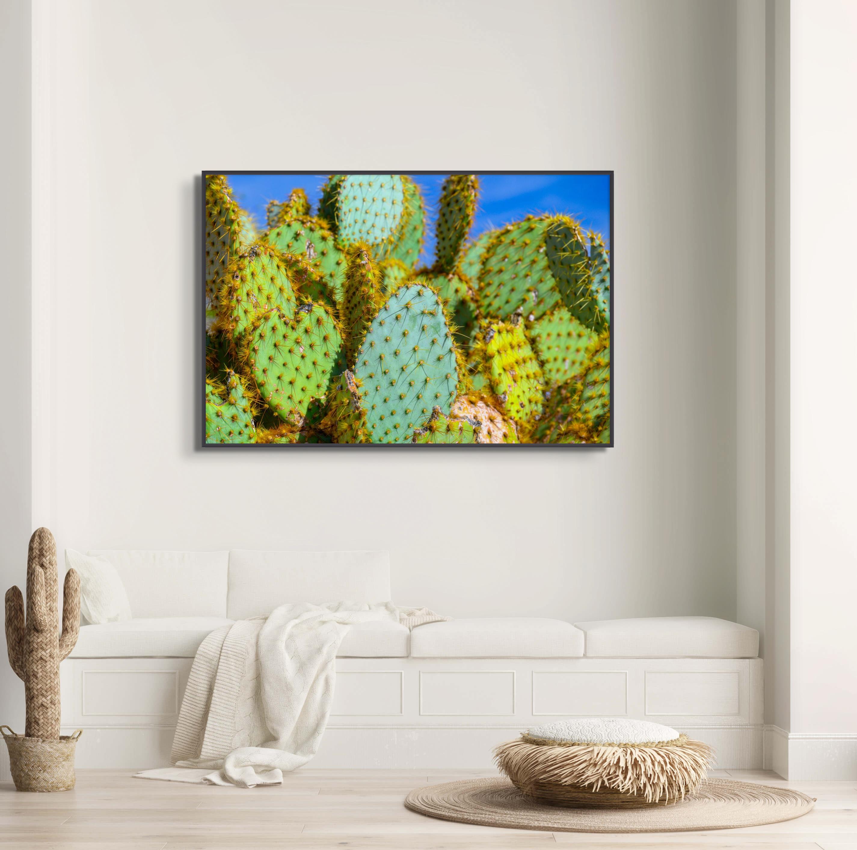 Prickly Pear Cactus Wall Art - Vibrant Desert Botanical Photography ...
