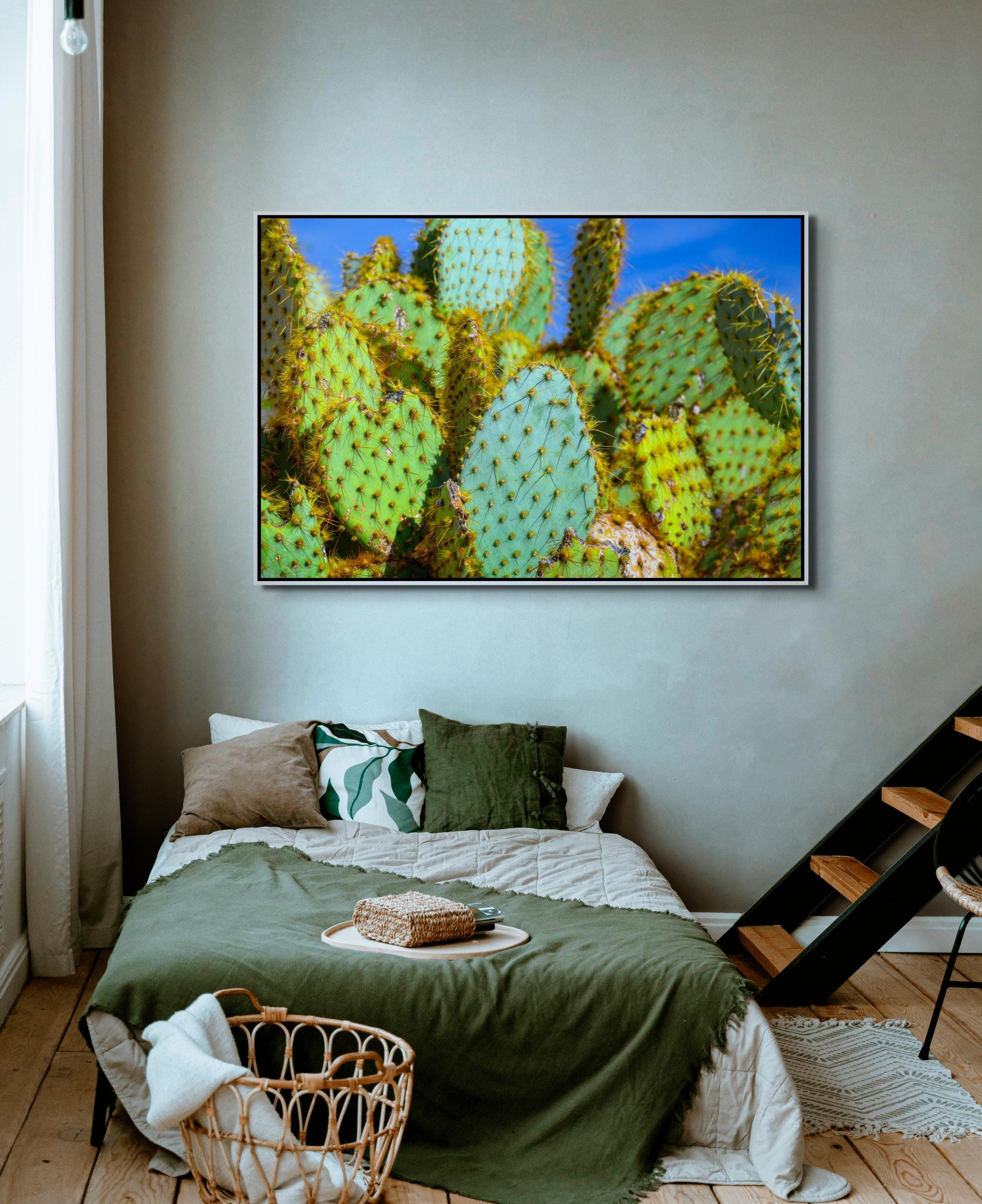 Prickly Pear Cactus Wall Art - Vibrant Desert Botanical Photography ...
