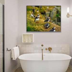 Atlantic Puffin Canvas Print | Iceland Bird Photography, Coastal Wall Art image 2