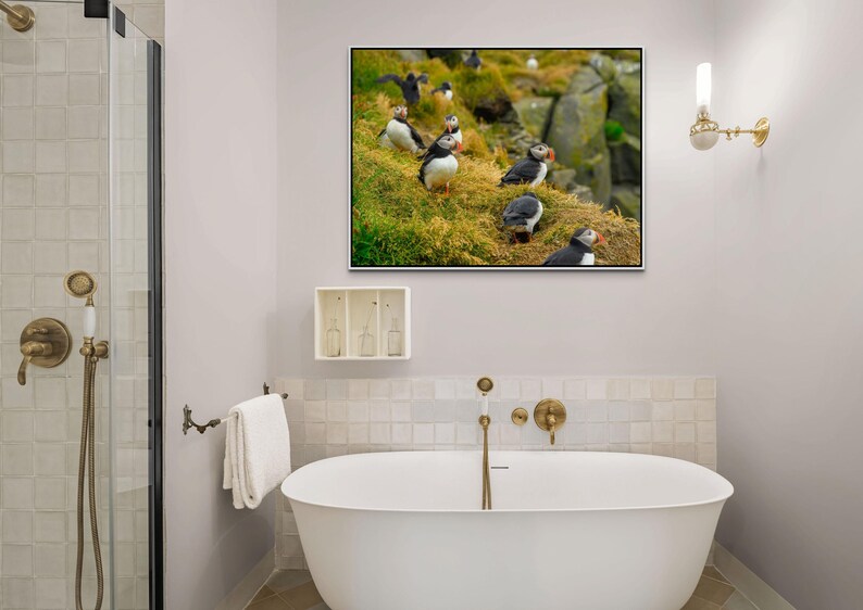 Atlantic Puffin Canvas Print | Iceland Bird Photography, Coastal Wall Art image 2