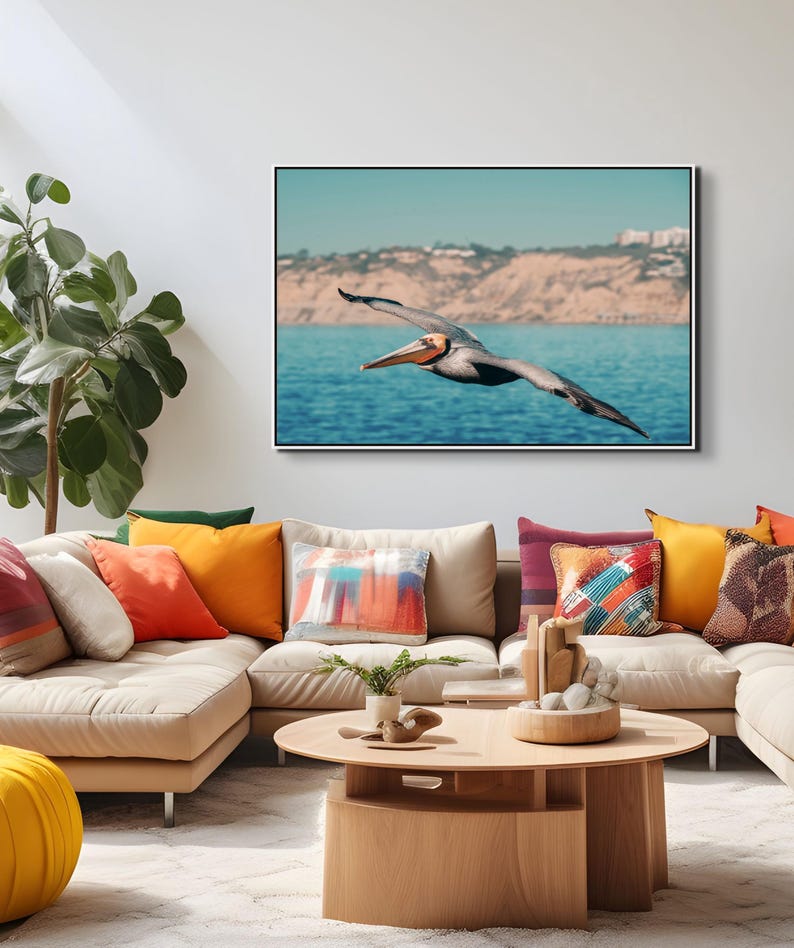 Väggkonst med pelikaner - Fotografi av kustfåglar | Konsttryck med havsdjur bild 4