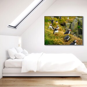 Atlantic Puffin Canvas Print | Iceland Bird Photography, Coastal Wall Art image 3