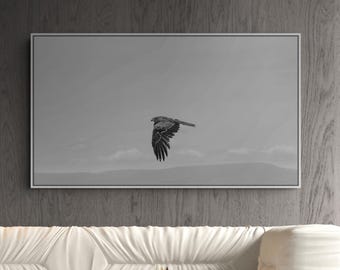 Black Kite Photography, Kamakura Japan – Minimalist Panoramic Fine Art Canvas, Black and White Flight Detail