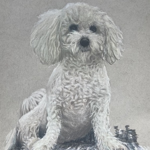 Retratos realistas de mascotas Retratos de mascotas Retrato de mascota personalizado Retrato de mascota personalizado Retrato de mascota al pastel o lápiz Celebración de regalo de Navidad