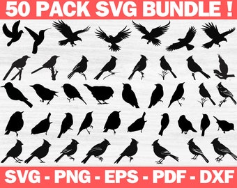 Bird SVG, Bird Svg Bundle, Flying Bird Svg, Animal Svg, Bird Clip Art, Sparrow Svg, Files for Cricut, Bird Silhouette, Birds Svg