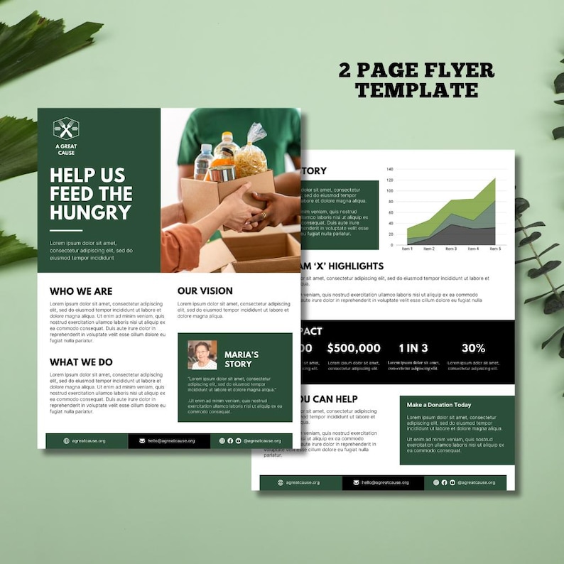 3 Nonprofit Case for Support Letter-sized Canva Template | Case ...