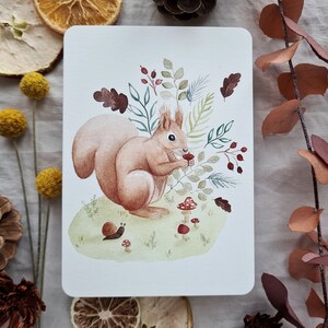 Carte écureuil | A6 | Art festif | Carte de voeux illustrée | Meilleurs voeux | Joyeux anniversaire