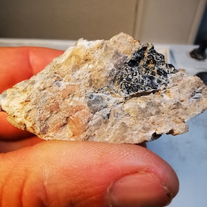 May include: A close-up of a rough, gray rock with a black mineral deposit. The rock is being held in a hand.