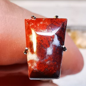 Scottish Jasper cushion cut Cabochon