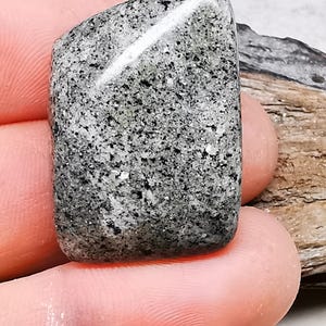 May include: A polished, rectangular stone cabochon featuring a speckled pattern of black, white, and grey mineral grains. The surface is smooth and reflective, displaying a high-gloss finish that highlights the intricate, granular texture of the rock.