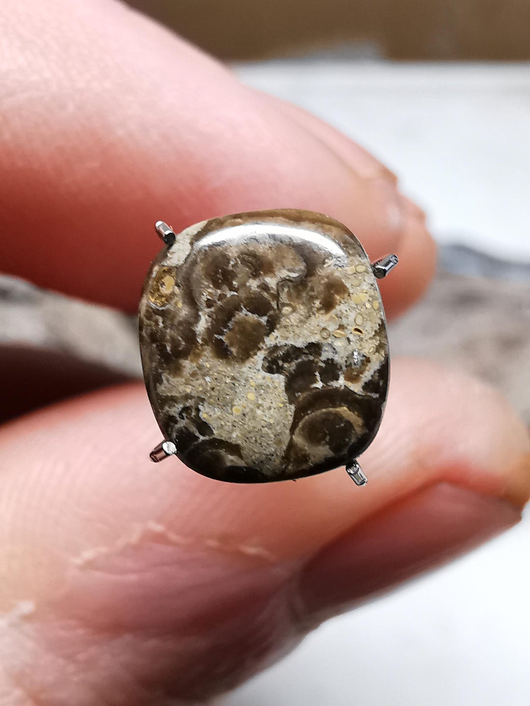 Rare Scottish Stromatolite Fossil in Limestone Cushion Cut Cabochon - Etsy