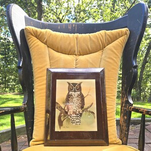 May include: A framed owl print with a brown wooden frame, resting on a yellow cushion. The owl is perched on a branch, with brown and white feathers. The chair is black with a yellow cushion.