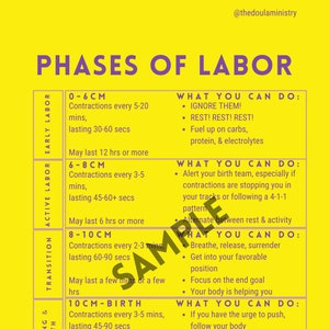 Phases of Labor Birth Handout Midwife Doula Contractions First-time Mom ...