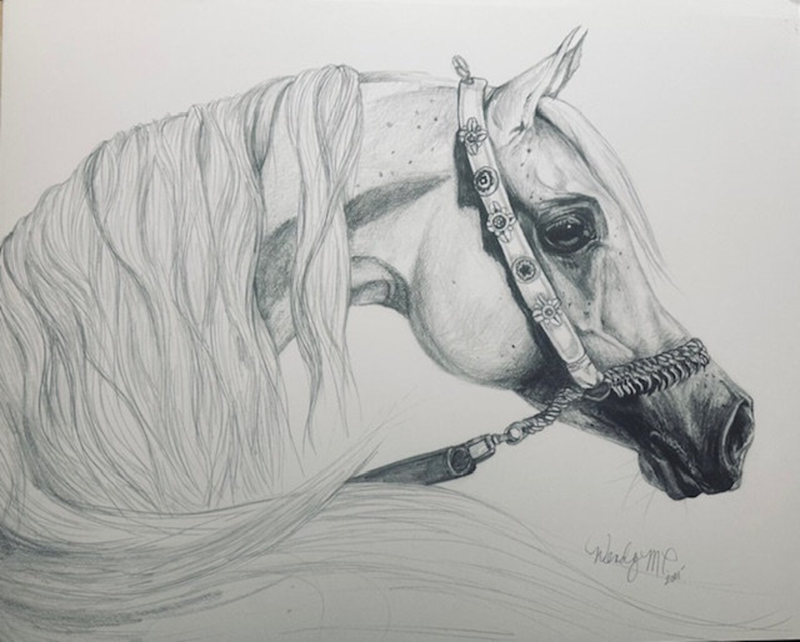 Arabian Horse Prints, Arabian Horse, Arabian Horse Vintage Prints ...