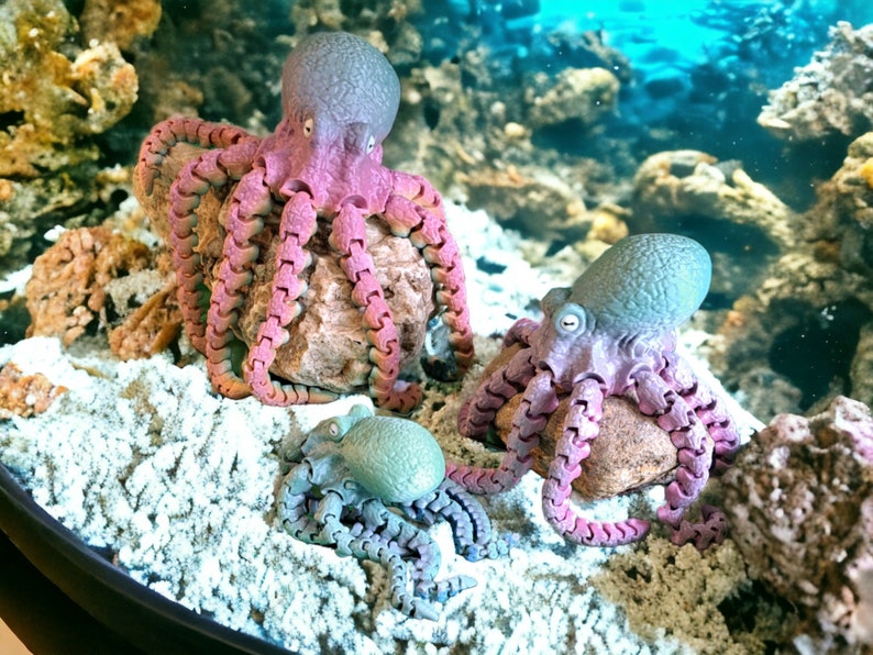 Octopus Articulating 3D Print Etsy