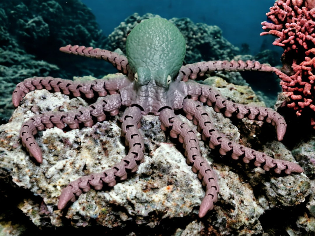 Octopus Articulating 3D Print Etsy