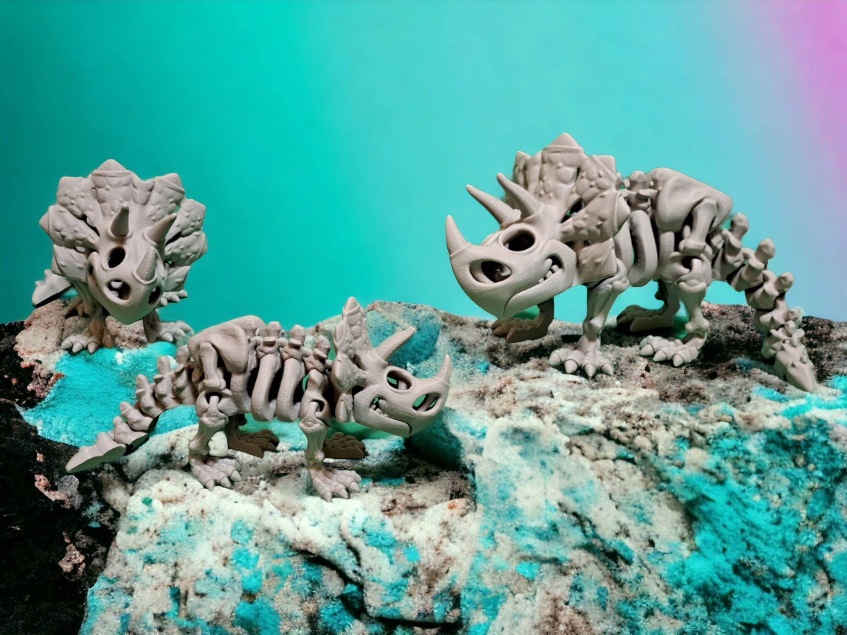 Triceratops Skeleton Articulating 3D Print - Etsy