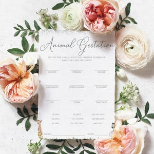 Animal Gestation Game, Jungle Animals Theme Baby Shower Editable Gestation Game Template with Answer Key, Canva Digital Download, BS003A