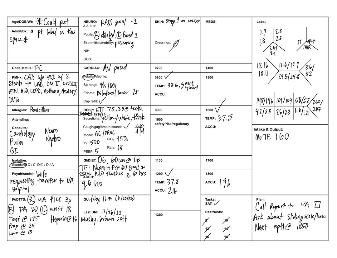 icu-report-sheet-with-time-blocks-lab-section-and-restraints-etsy