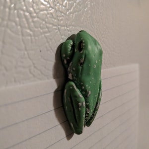 May include: A green frog-shaped refrigerator magnet with white spots and accents. The magnet is attached to a white refrigerator door. The frog is a whimsical, decorative item.