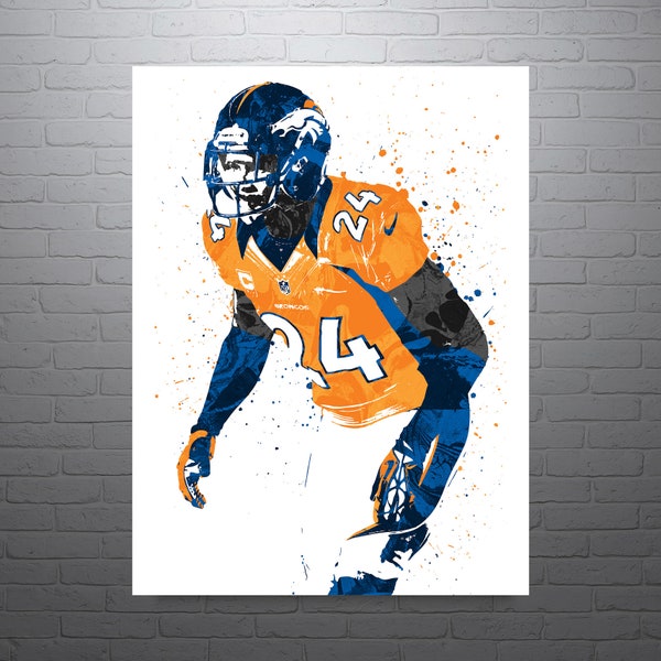 Champ Bailey Denver Broncos Football Art Poster-Free US Shipping