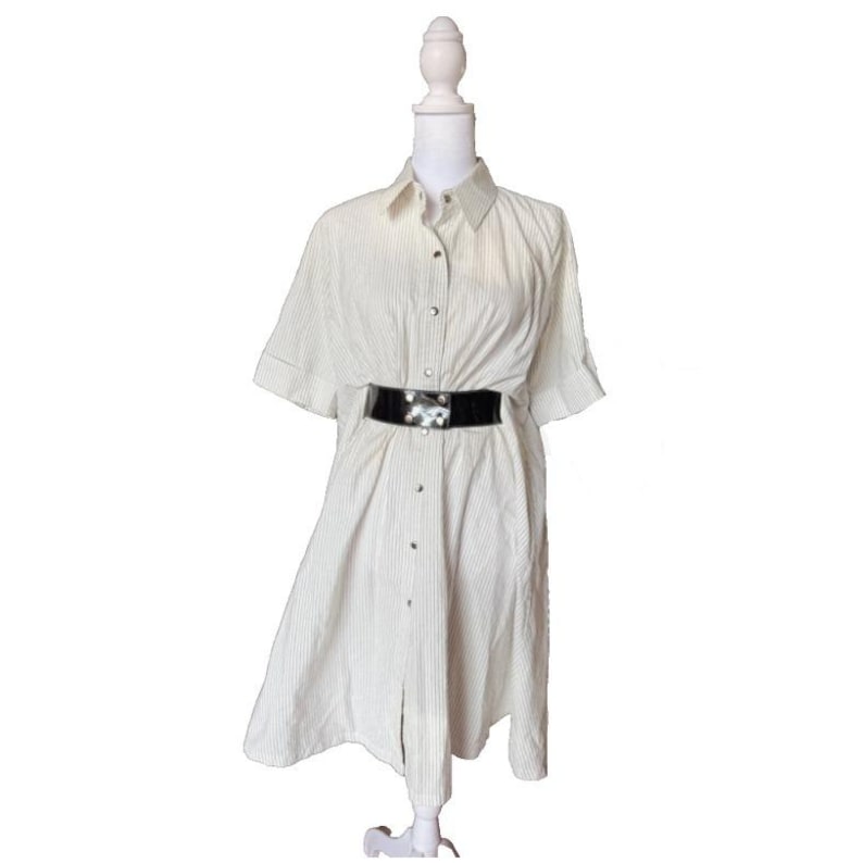 Corey Lynn Calter Anthropologie Ivory Black Pinstripe Shirt Dress Womens Size 4 image 1