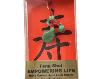 Zorbitz Inc Jade Feng Shui Luck Charm Empowering Life Multicolor Functional