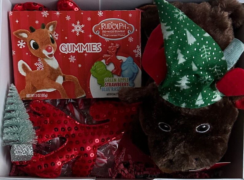 Rudolph Reindeer Adventure Gift Box for Kids Dress up Gift for Kids