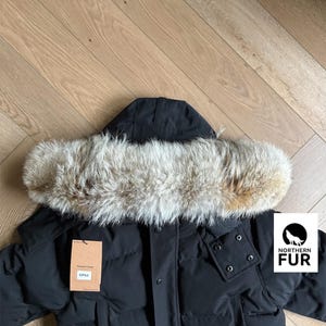 Canada Goose Fur (Heritage) 20”/50.8cm Replacement Coyote Fur Trim (PREMIUM VERSION)