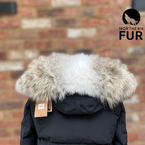 Canada Goose (heritage) Replacement Coyote Fur Trim (premium