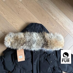 Canada Goose Fur (Heritage) 20”/50.8cm Replacement Coyote Fur Trim (PREMIUM VERSION)