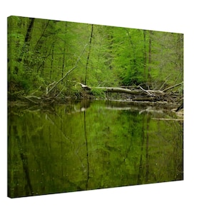 Mountain Creek Hiking Trail Photo, Ridley Creek, Landscape, Canvas Wall Art Print, Decor for Home, Living Room,Bedroom Office