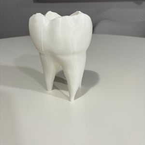 3D Printed Tooth Plant Holder