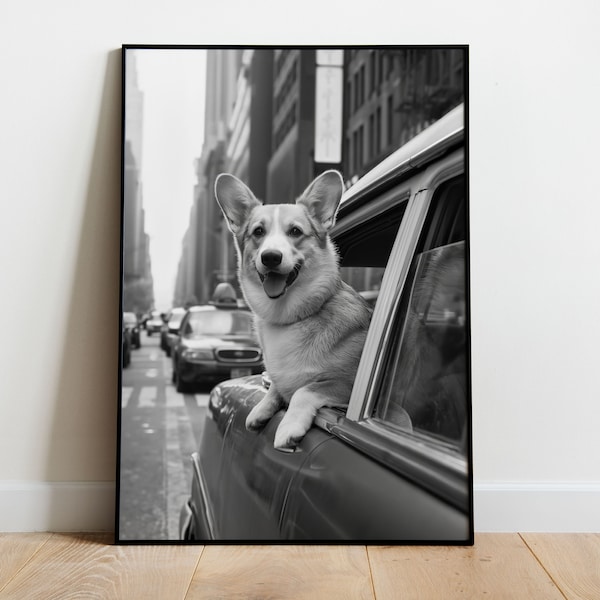 Corgi Riding in a Taxi in New York, Dog Photography Album, Black and White Vintage Print, Digital Download Print