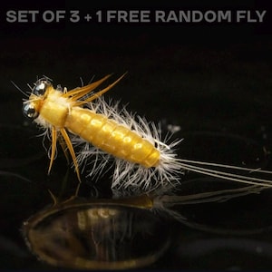 3 Gilled Mayfly Nymph + 1 FREE random fly — Nymphs fly fishing Perfect for brown rainbow brook cutthroat steelhead trout grayling smallmouth