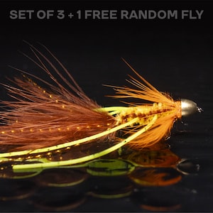 3 Woolly bugger + 1 FREE random fly — Autumn splendor streamers for fly fishing. Perfect for trout bass panfish pike steelhead striped bass