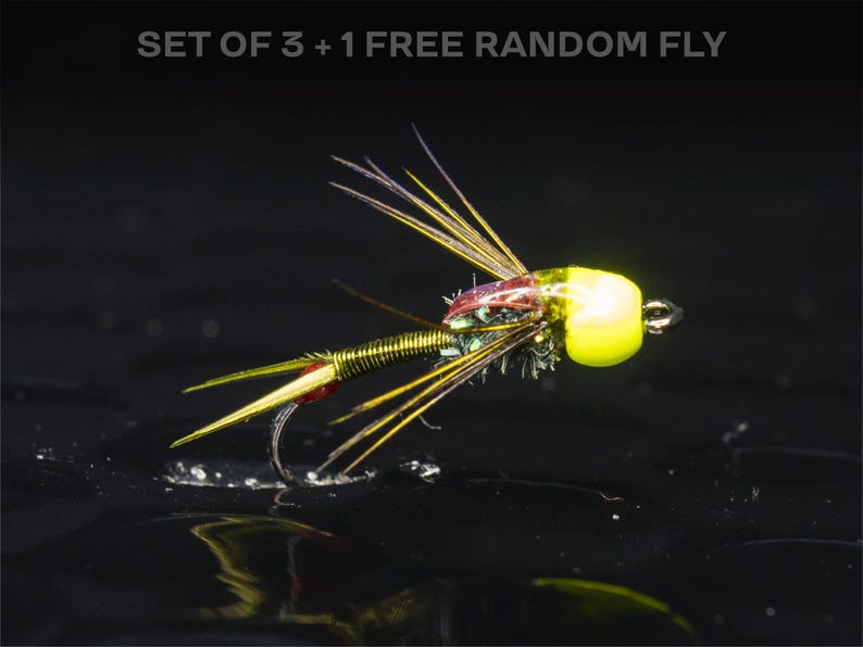3 Atomic Nymph + 1 FREE Random Fly — Tungsten Bead Head Effective Euro ...