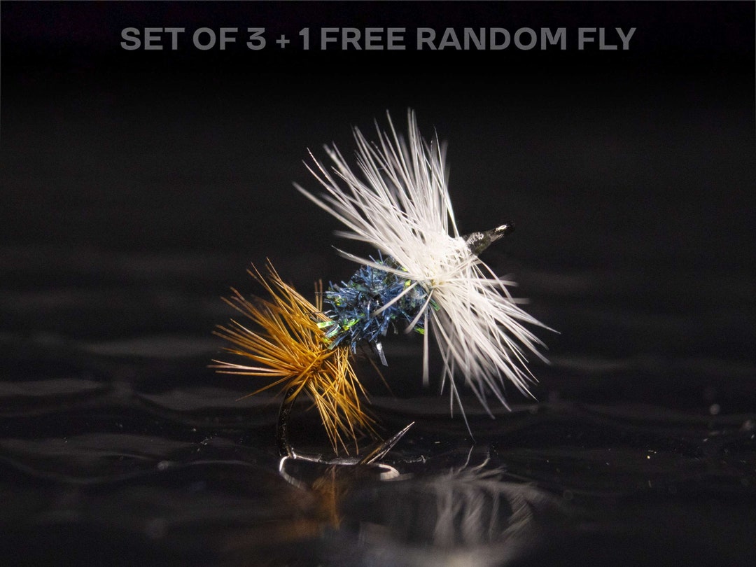 3 Renegade + 1 FREE Random Fly — Surface Fly Fishing Perfect for ...