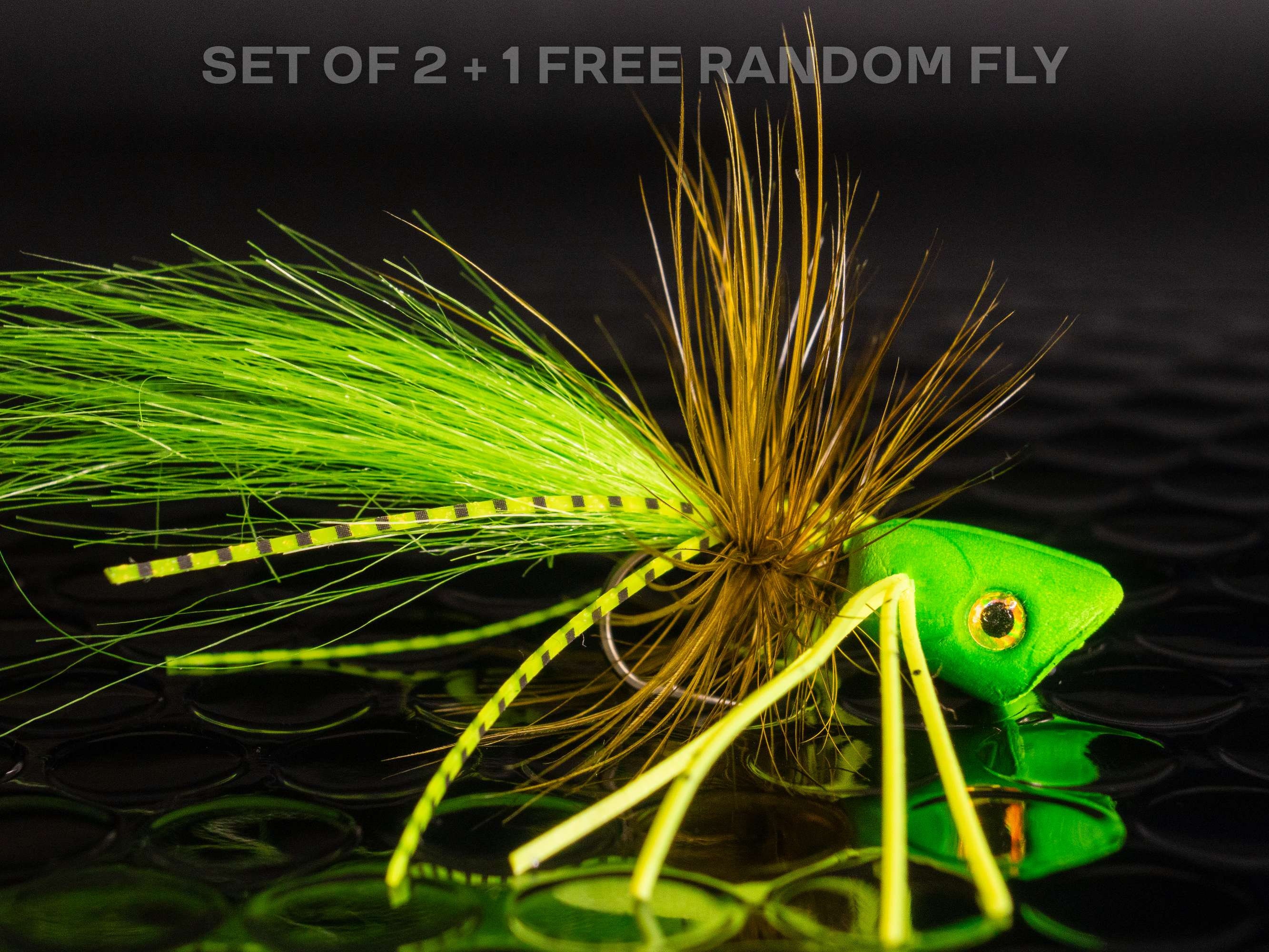 2 Poppers + 1 FREE Random Fly — Double Barrel Bass Surface Flies ...