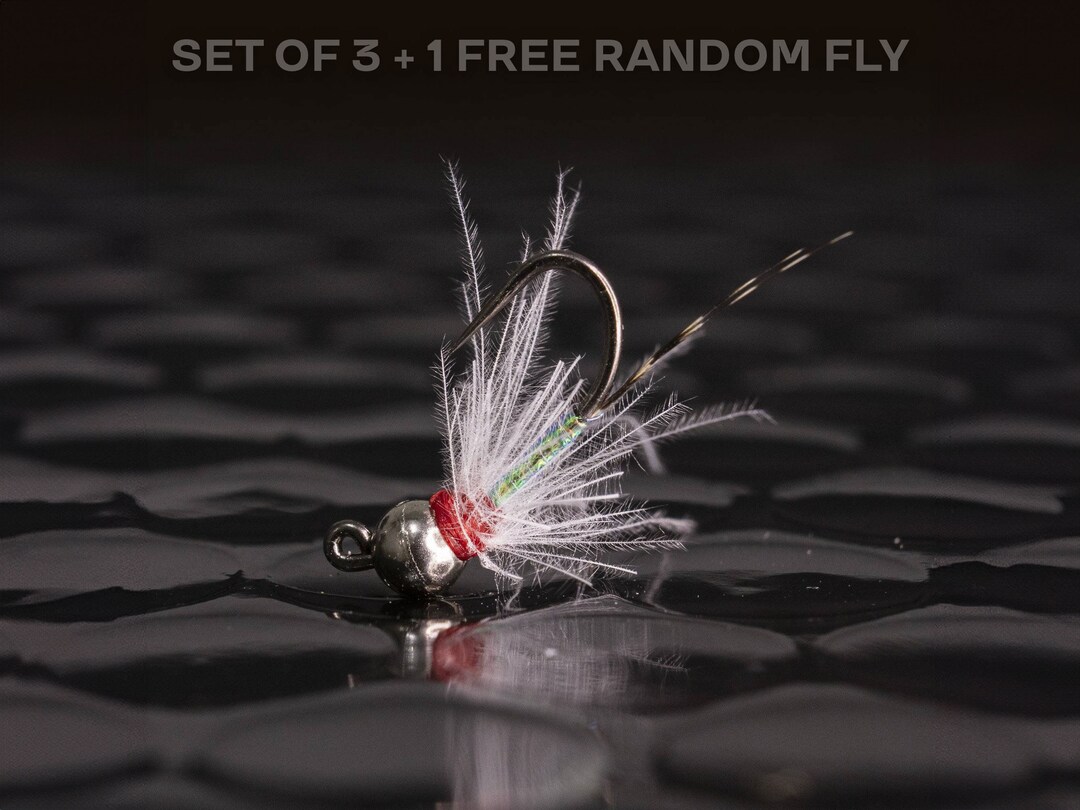 3 CDC Rainbow Warrior + 1 FREE Random Fly — Tungsten Euro Nymph Jig ...