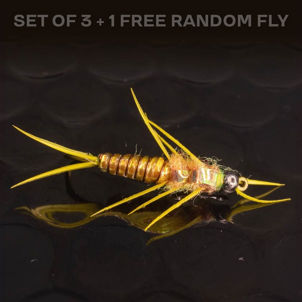 3 Stoneflies + 1 FREE random fly — Nymph fly fishing. Perfect for trout