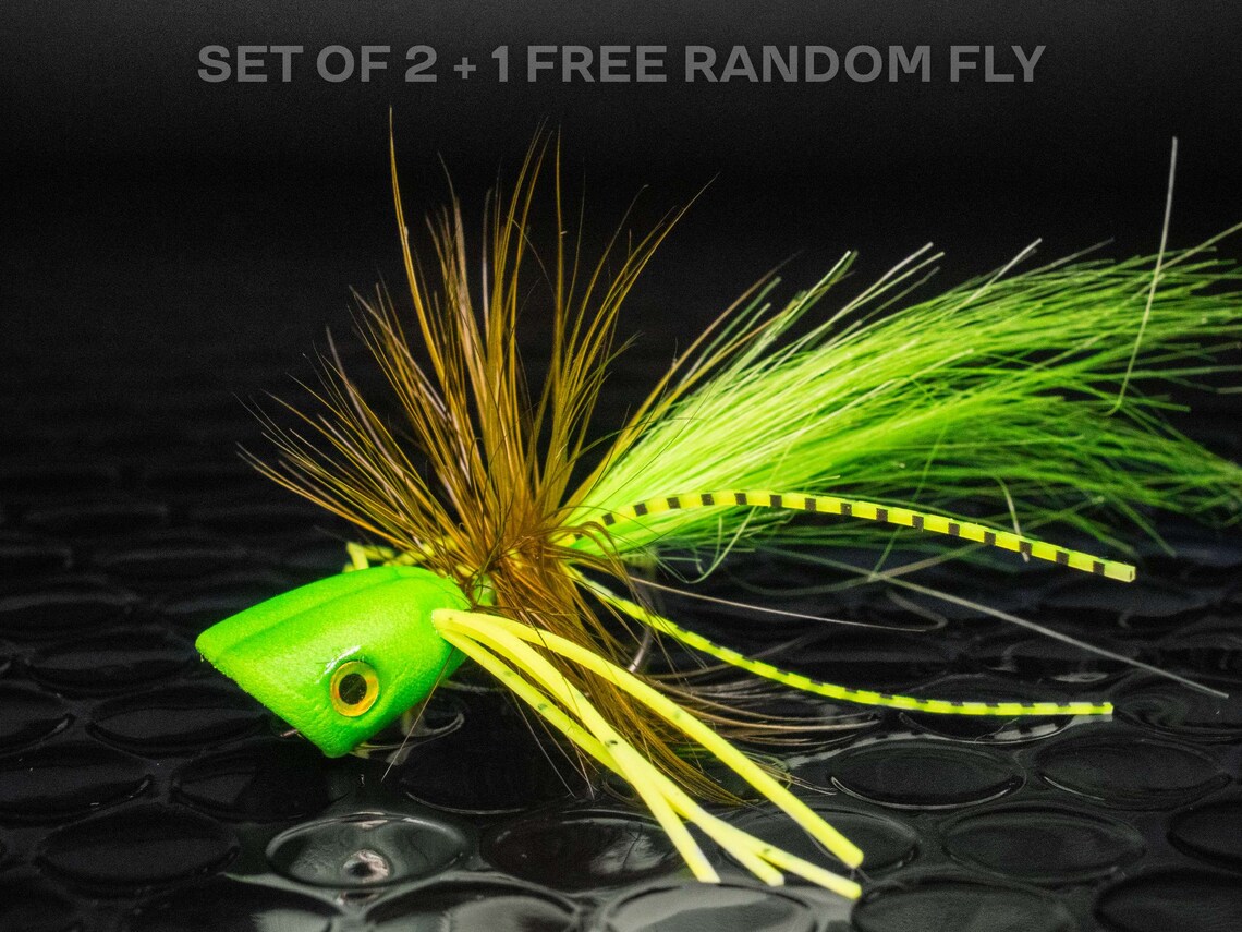 2 Poppers + 1 FREE Random Fly — Double Barrel Bass Surface Flies ...