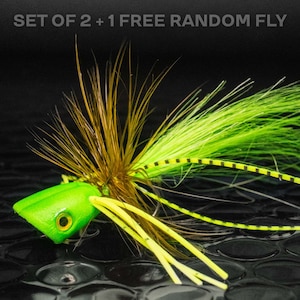 May include: A close-up of a fishing lure with a bright green head and yellow and black accents. The lure has long, flowing green and brown fibers, and the text "SET OF 2 + 1 FREE RANDOM FLY" is visible at the top.