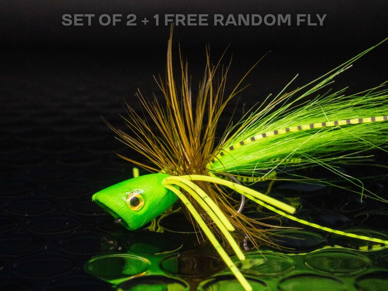 2 Poppers + 1 FREE Random Fly — Double Barrel Bass Surface Flies ...