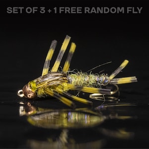 3 Stoneflies + 1 FREE random fly — Tungsten stonefly rubber legged perfect for rainbow brown trout brook trout cutthroat and golden trout