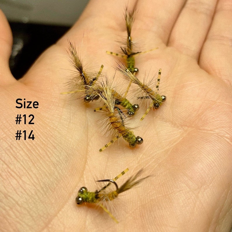 3 Carp Flies 1 FREE Random Fly Headstand Carp Jig Patterns for Fly ...
